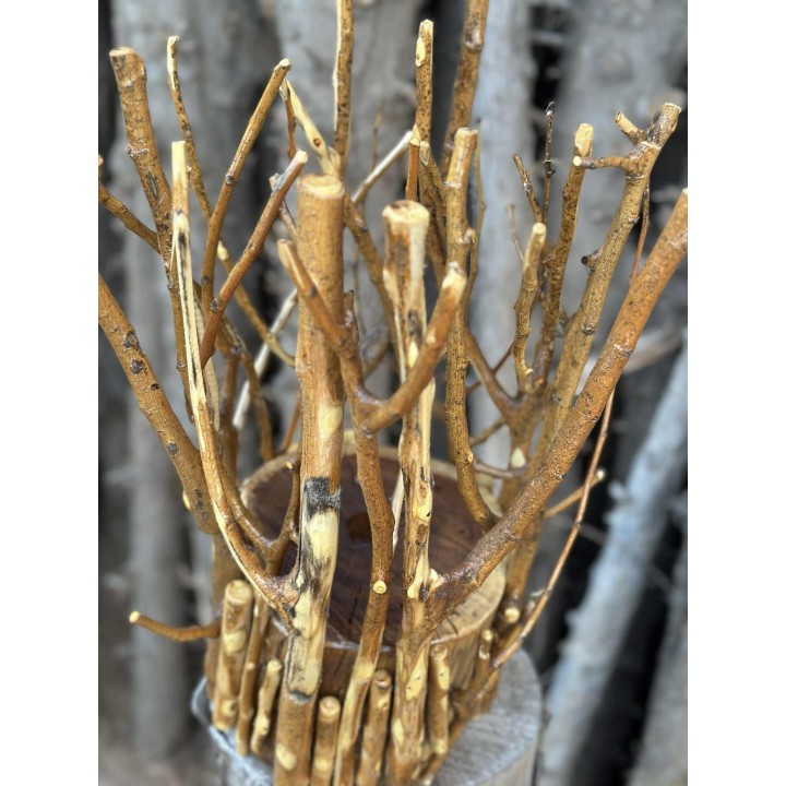 Veilleuse de Table de Nuit en Bois Sculpté