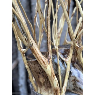 مصباح خشبي لجانب السرير