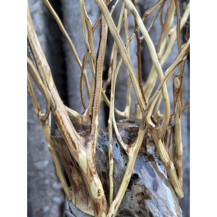 Veilleuse de Table de Nuit en Bois Sculpté