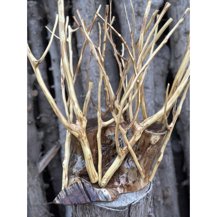 Veilleuse de Table de Nuit en Bois Sculpté
