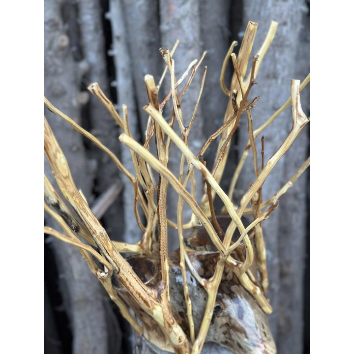 Veilleuse de Table de Nuit en Bois Sculpté