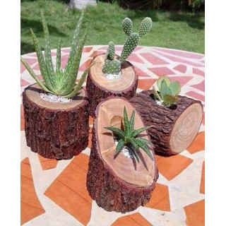 Handcrafted Natural Tree Trunk Planters