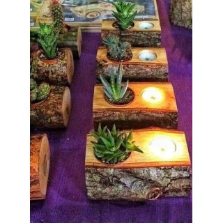 Rustic Wooden Candle & Plant Holder