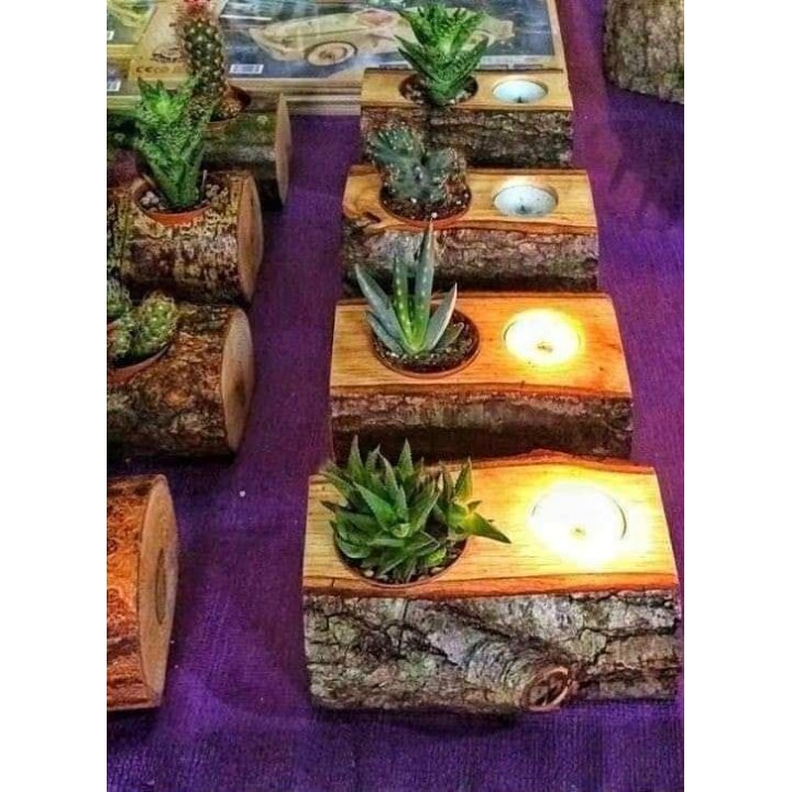 Rustic Wooden Candle & Plant Holder